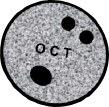 OctoberBOM